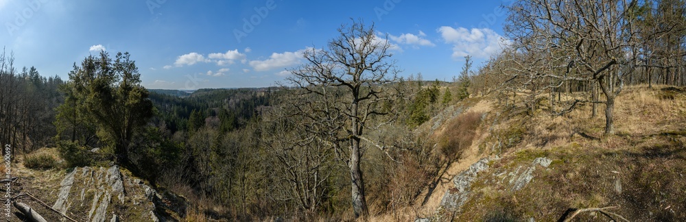 panorama view from rock cliff in the forest panorama view from rock cliff in the forest