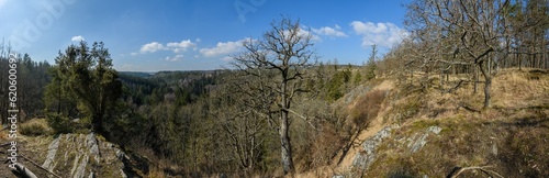panorama view from rock cliff in the forest
