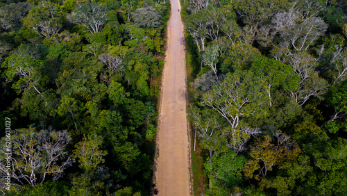Roads in the middle of the Amazonica jungle, places that join villages in the middle of the jungle, tropical forests