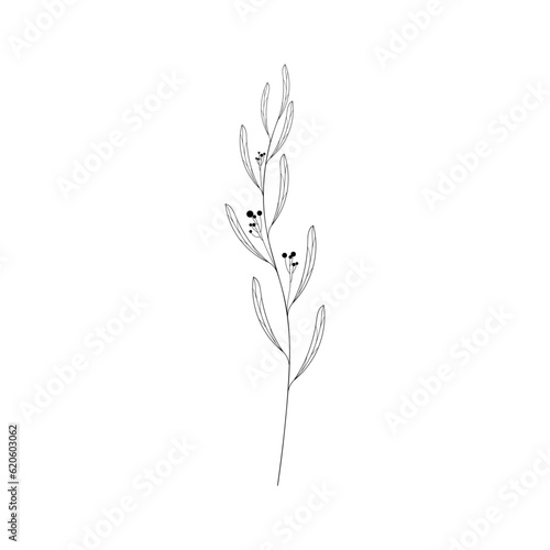 Abstract plant hand drawn art. Cute floral vector illustration for design tattoo  invitation card  flyer  cover.