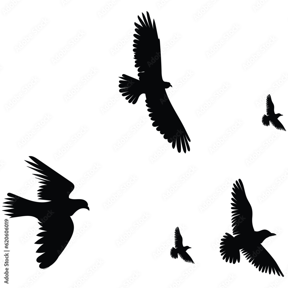 Obraz premium flock of birds