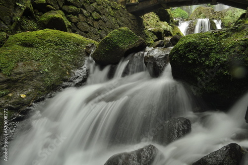 waterfall in the forest