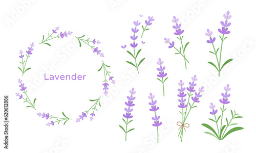 Lavender vector flat illustration set