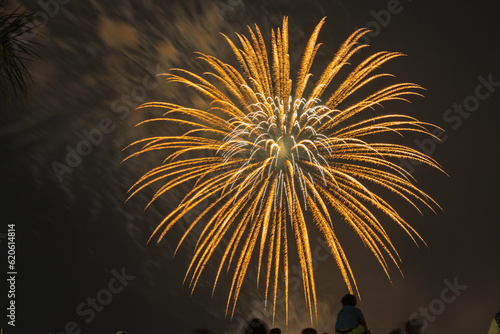 Fireworks display celebration Fourth of July holiday.