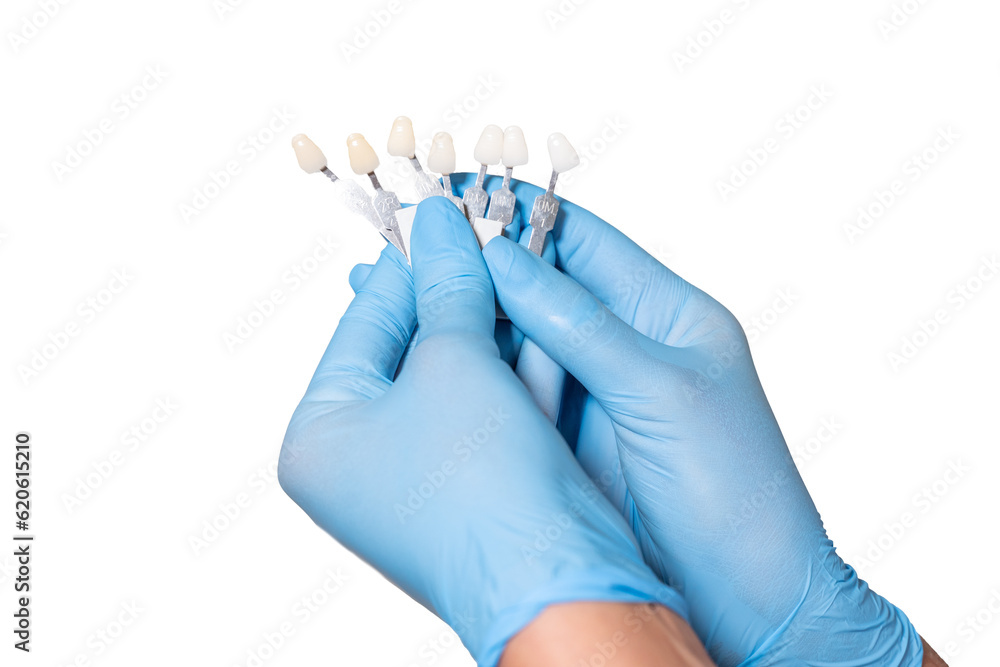 Doctor hands in medical sterile gloves hold shade guide bleach color, female veneer smile, dental care and stomatology, dentistry png isolated over white background