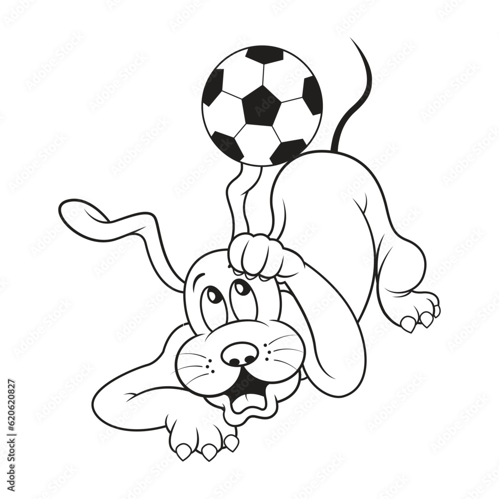 Obraz premium a cute dog is scared of being hit by a ball