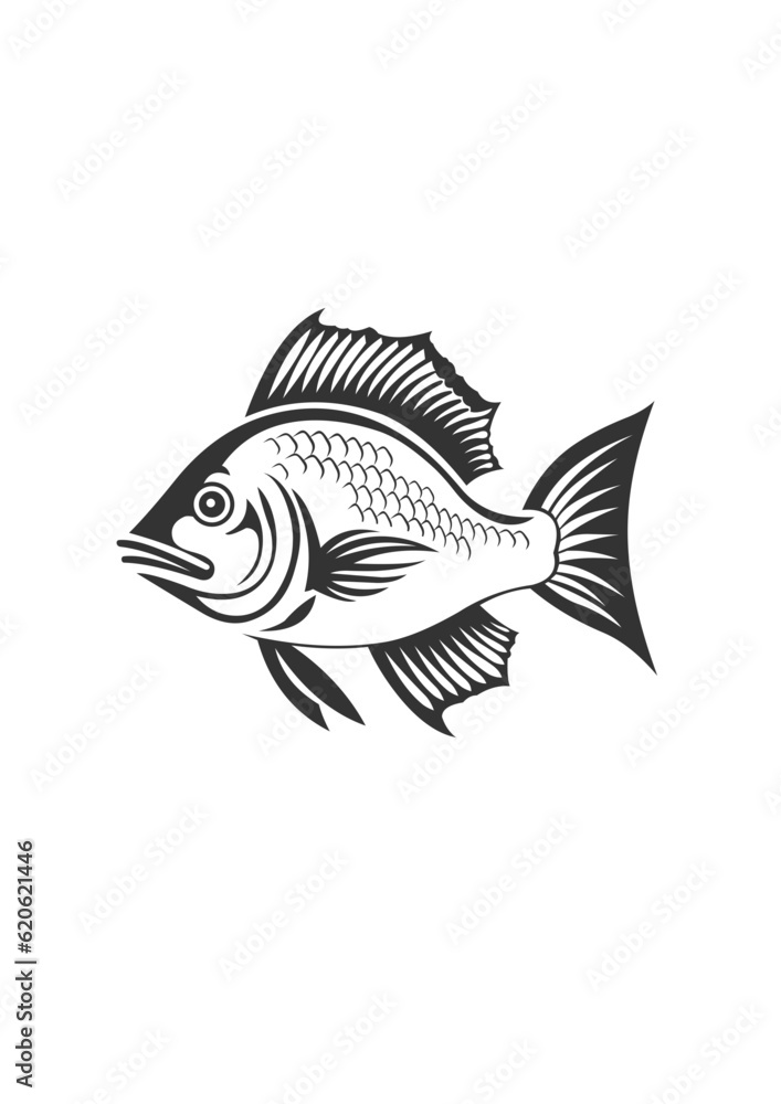 fish isolated on white illustration vector fish isolated on white illustration vector