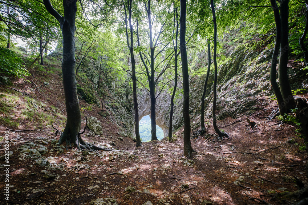 Naklejka premium Otlisko okno window in Vipavska valley