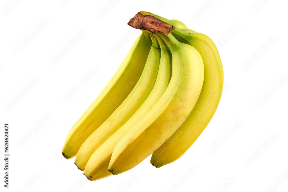 Bunch of ripe bananas isolated on white background. Bunch of ripe bananas isolated on white background.