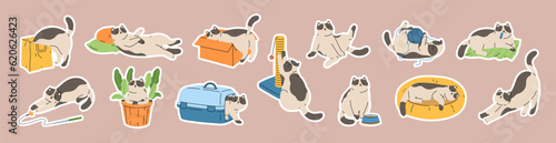 Set of stickers with cute cats. Hand drawn collection badges with pet kittens home life.