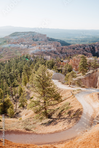 Bryce Canyon at first light, panorama from Rim Trail at Sunrise Point over canyon, contre-jour shot into sun with lens flares and copy space