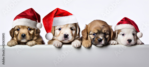 dogs in santa hats by christmas tree © visuallabel