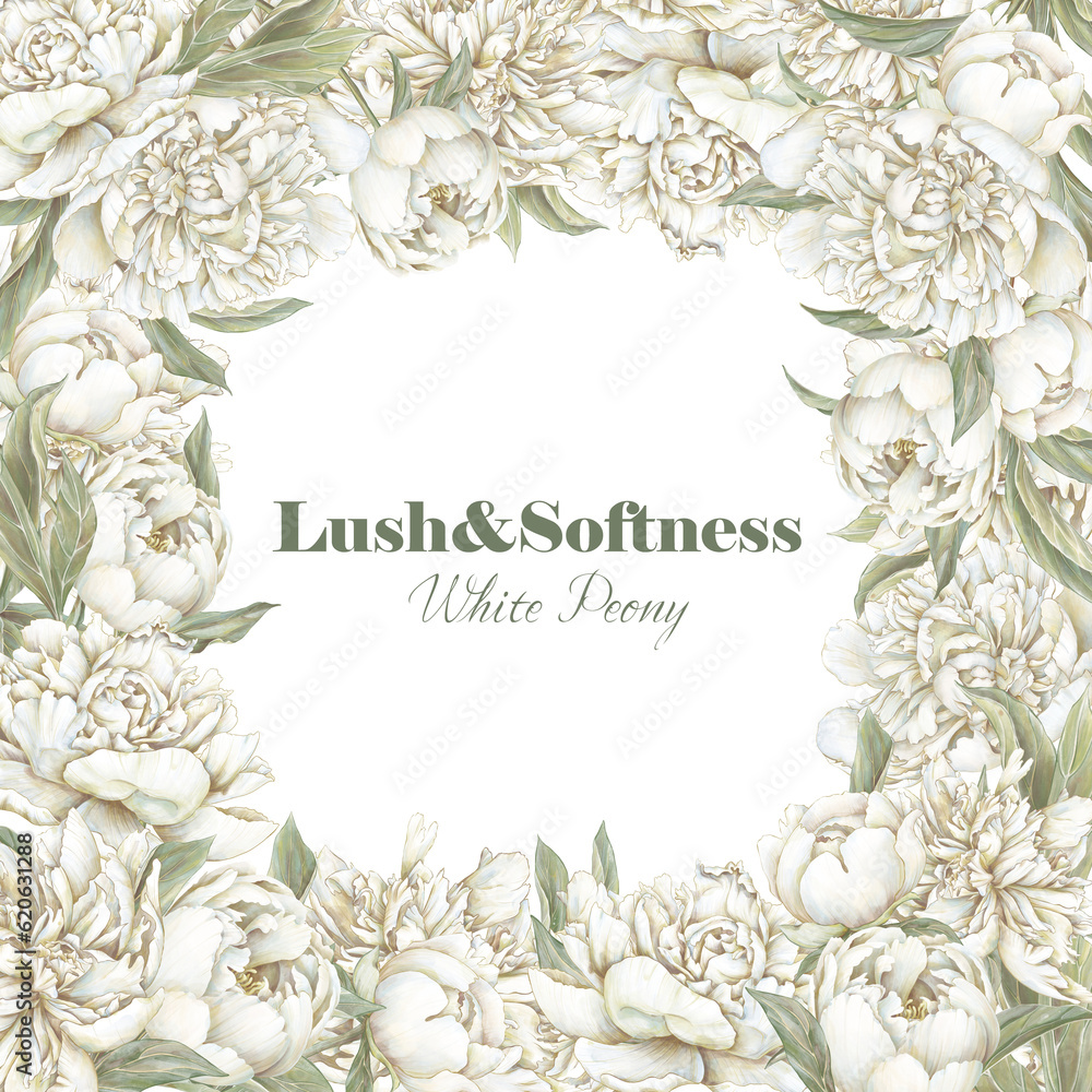 Fototapeta premium White flower background. Peony floral invitation. Watercolor shabby chic style.