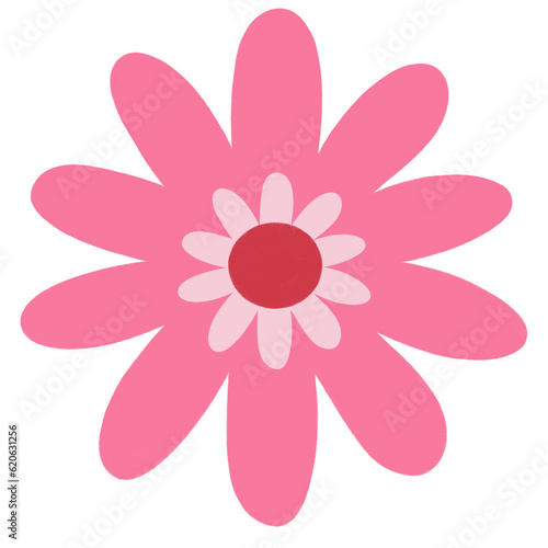 Cute Colorful Flowers