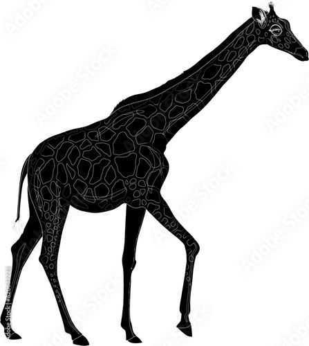 giraffe silhouette vector