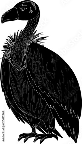 Vector of an oiled cormorant