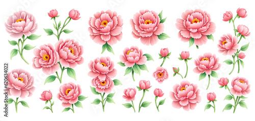 Set of watercolor peony flower 3D style on transparent background,generative ai