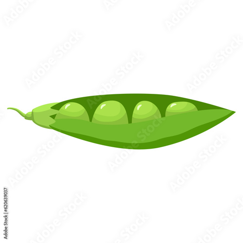 Cartoon green pea.Pod of green peas. Open pea pod. Vegetable harvest.Peas legumes icon.Healthy food concept. Vegetarianism and veganism food.Isolated on white background.Vector flat illustration.