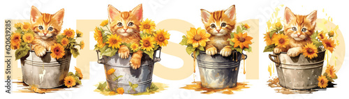 Watercolor painting style of orange kitten and flowers in water bucket, Vector Illustration