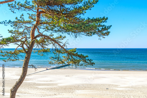 Fototapeta Naklejka Na Ścianę i Meble -  Panoramic view of a dune beach on the Baltic Sea