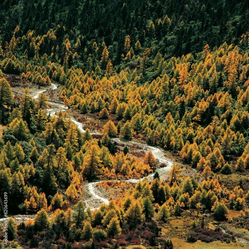 autumn landscape in the mountains