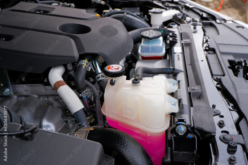 radiator reservoir tank car engine coolant anti-coolant and anti-freeze, pink coolant radiator reservoir tank car engine coolant anti-coolant and anti-freeze, pink coolant