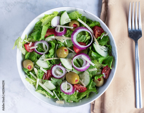 chopped  salad  top with onions and olives photo