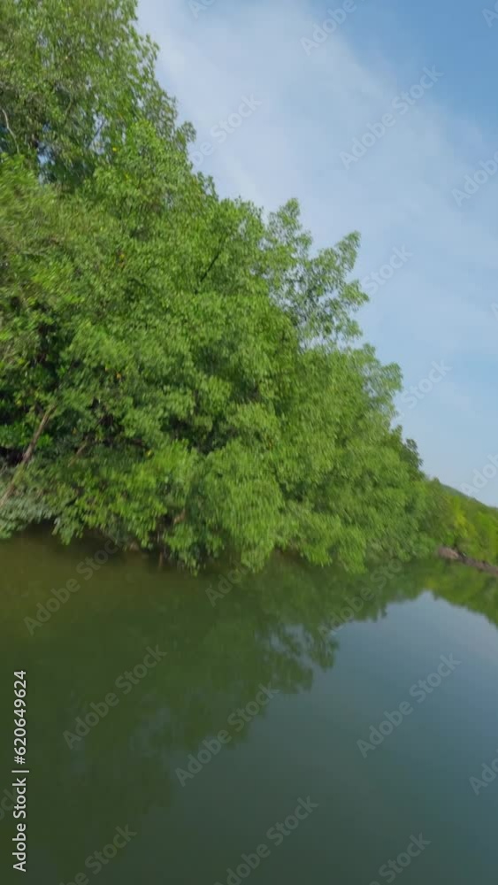 Vertical video. Aerial view freestyle dynamic flying over calm river surface green trees forest with village harbor port Asian fishing boat. FPV sport drone shot tropical pond rustic house nature lush Vertical video. Aerial view freestyle dynamic flying over calm river surface green trees forest with village harbor port Asian fishing boat. FPV sport drone shot tropical pond rustic house nature lush