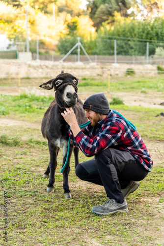 Wallpaper Mural Man putting on a leash on a donkey  Torontodigital.ca