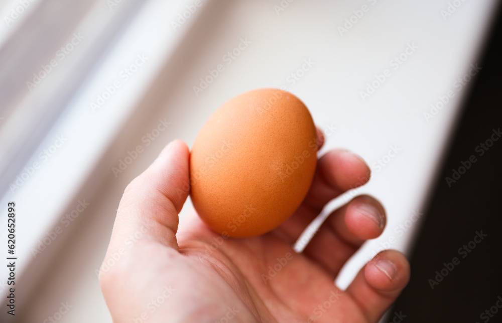 Whole eggs represent vitality and potential, cracked eggs symbolize