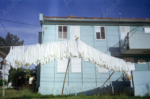 Hanging rags photo