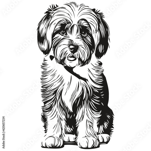 Εκτύπωση καμβά Tibetan Terrier dog pet silhouette, animal line illustration hand drawn black an