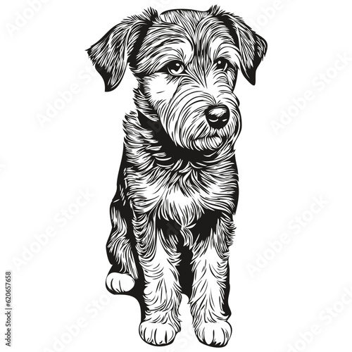Lakeland Terrier dog hand drawn logo drawing black and white line art pets illustration