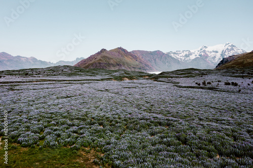 Iceland landscape summer mountain field