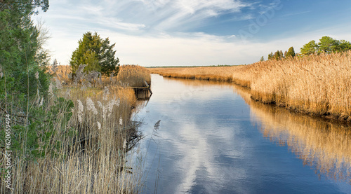 New Jersey  Pinelands photo