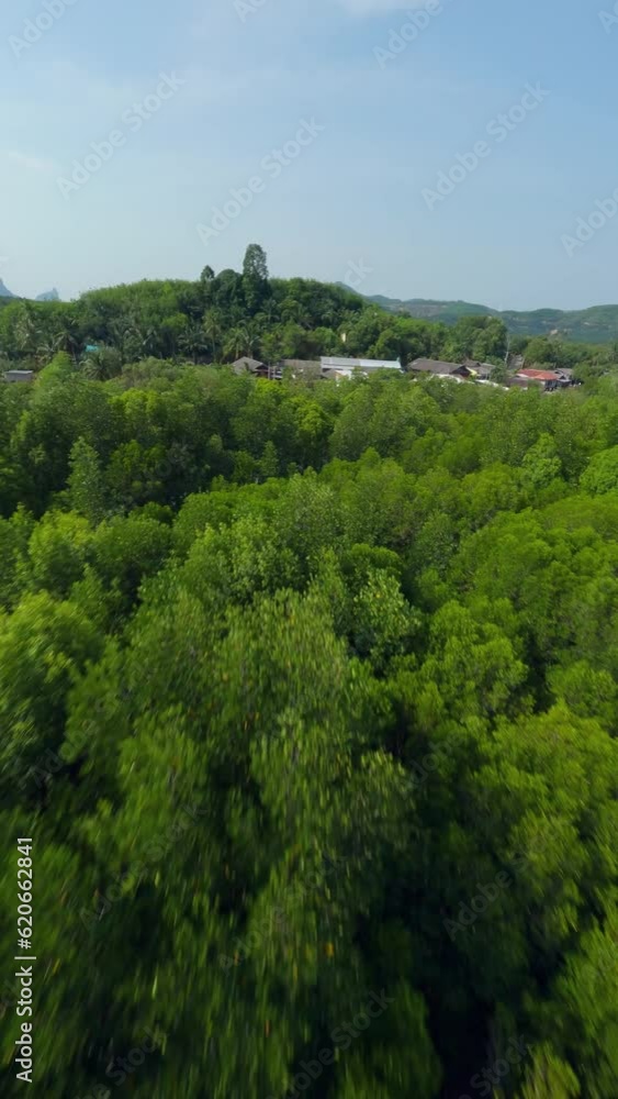 Vertical video. Cinematic flying over Asian village embankment boat water river local rural house green forest aerial view. FPV sport drone close low shot tropical countryside port harbor fishing ship Vertical video. Cinematic flying over Asian village embankment boat water river local rural house green forest aerial view. FPV sport drone close low shot tropical countryside port harbor fishing ship