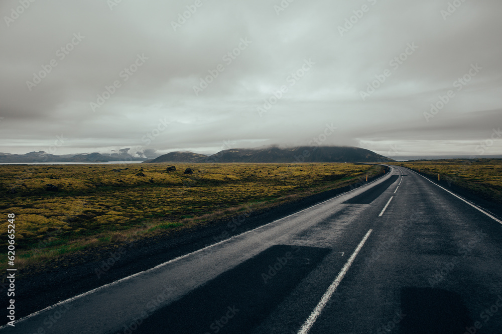 Iceland landscape summer road mountain tundra frog 