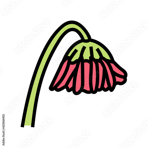 drooping flowers sad mood color icon vector. drooping flowers sad mood sign. isolated symbol illustration