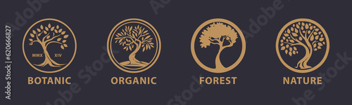 Tree vector icon. Logo design Premium Vector. Botanical plant nature symbol. Nature trees illustration logo design vector illustration.
