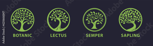 Tree vector icon. Logo design Premium Vector. Botanical plant nature symbol. Nature trees illustration logo design vector illustration.