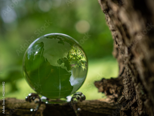 glass earth globe in forest