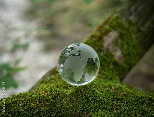 glass earth globe in forest