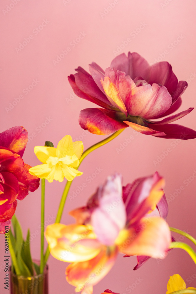Arrangement of pink tulips Arrangement of pink tulips