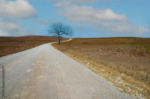 Grassland Lonely Road © johncparham