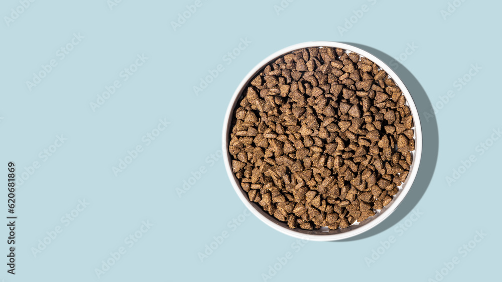 Dog Kibble Food in Bowl on Solid Background Dog Kibble Food in Bowl on Solid Background