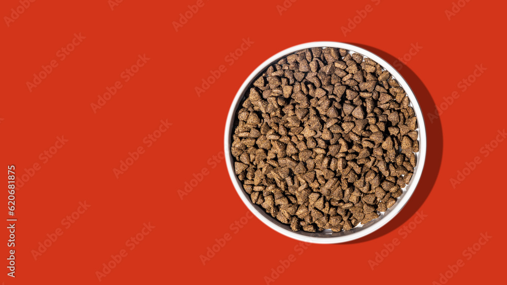 Dog Kibble Food in Bowl on Solid Background Dog Kibble Food in Bowl on Solid Background