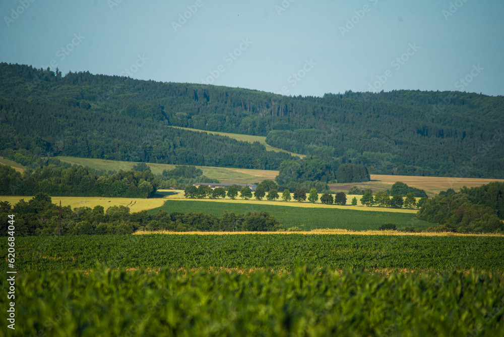 beautiful landscape with green hills and fields