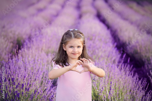 Fototapeta Naklejka Na Ścianę i Meble -  Adorable caucasian little girl showing heart and love sign hands standing in the lavender field. Blossom, childhood, peace, love