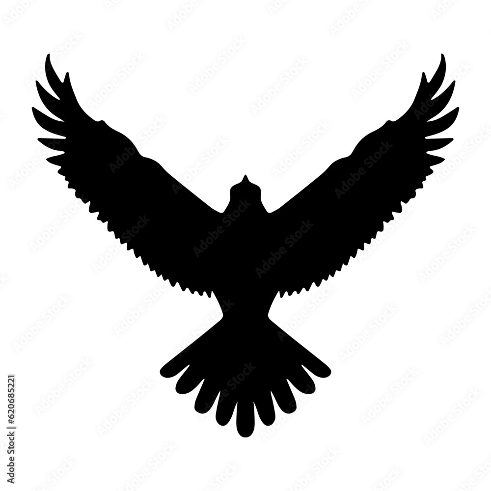 Fototapeta premium Eagle Bird flying silhouette isolated. Vector illustration