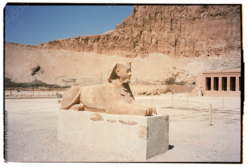 Sphinx at Hapshetsut temple photo